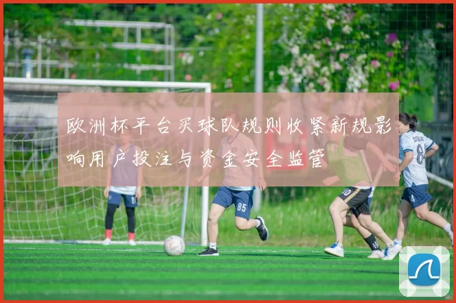 欧洲杯平台买球队规则收紧新规影响用户投注与资金安全监管