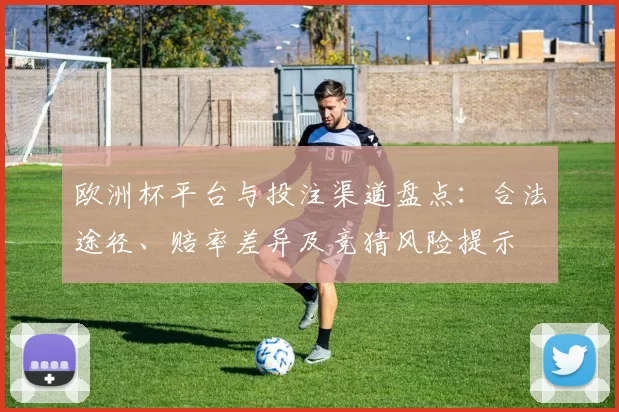 欧洲杯平台与投注渠道盘点：合法途径、赔率差异及竞猜风险提示