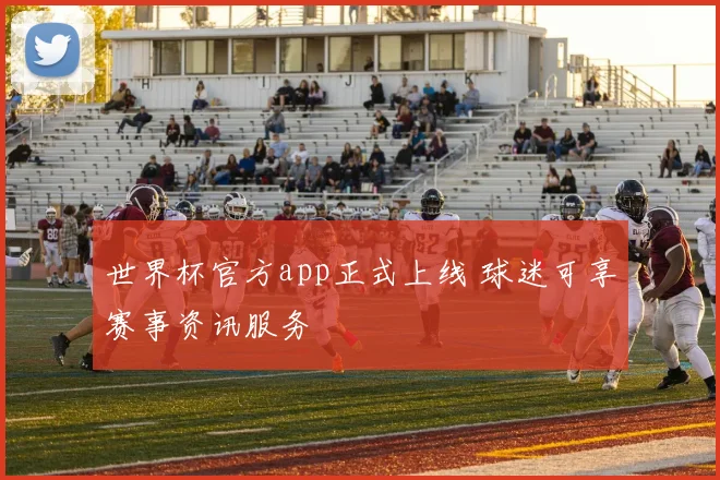 世界杯官方app正式上线 球迷可享赛事资讯服务